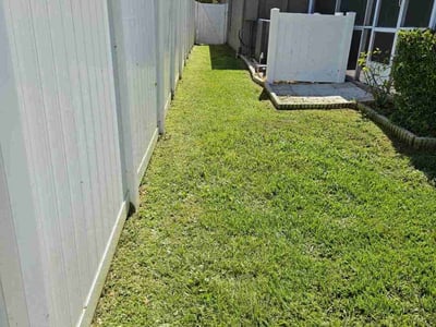 Lawn care service in Tampa, 33615