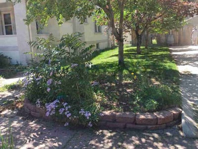 Lawn care service in Denver, 80212