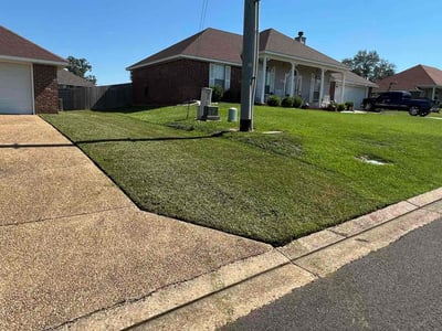 Lawn care service in Byram, 39272