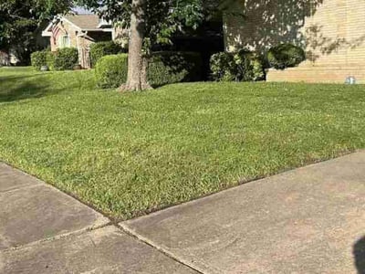 Lawn care service in Mesquite, 75150