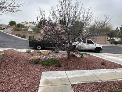 Lawn care service in Las Vegas, 89129