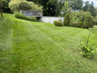 Lawn care service in Meriden, 06451