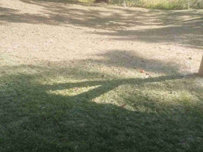 Lawn care service in Leicester, 28748