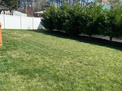 Lawn care service in Hampton, 23666