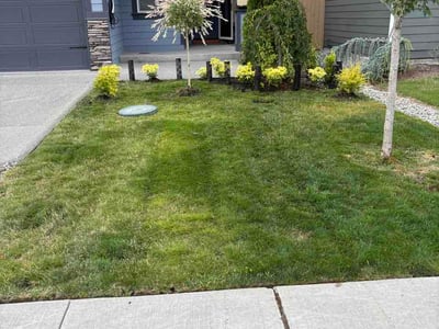 Lawn care service in Spanaway, 98387