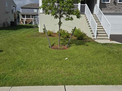 Lawn care service in Howell Township, 07731