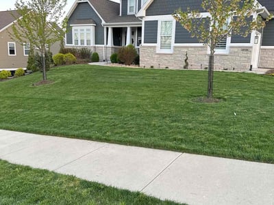 Lawn care service in St. Louis, 63131