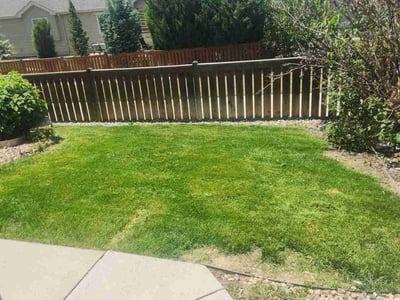 Lawn care service in Loveland, 80538