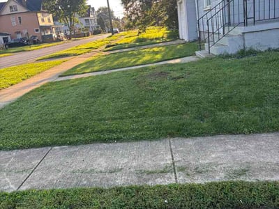 Lawn care service in New Castle, 16101