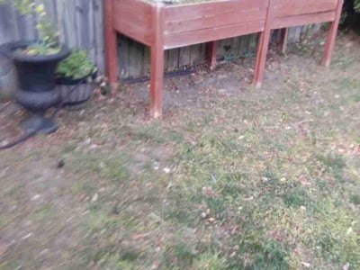 Lawn care service in Norfolk, 23503