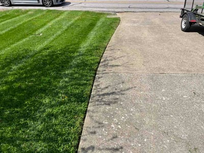 Lawn care service in Alexandria, 41001