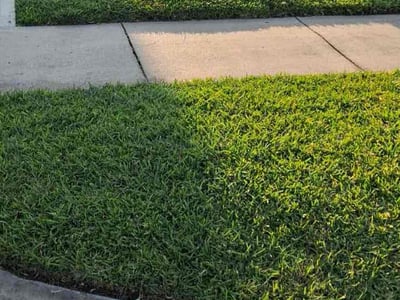 Lawn care service in Friendswood, 77546