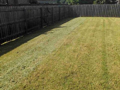 Lawn care service in Athens, 35613