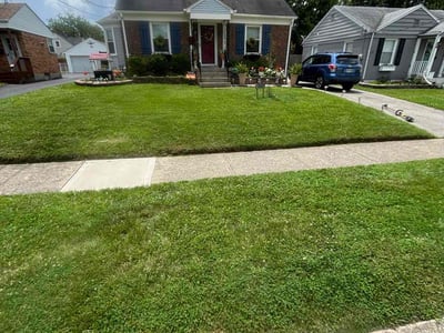 Lawn care service in Cincinnati, 45236