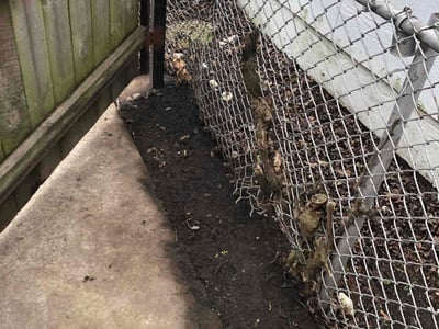 Lawn care service in Chicago, 60628