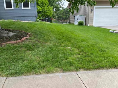 Lawn care service in Omaha, 68135