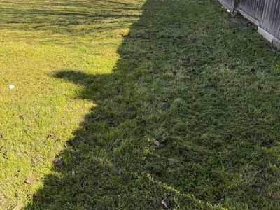 Lawn care service in Katy, 77493