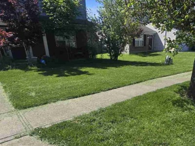 Lawn care service in Amelia, 45102