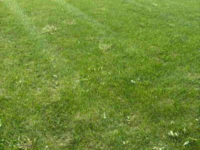 Lawn care service in Bull Valley, 60097