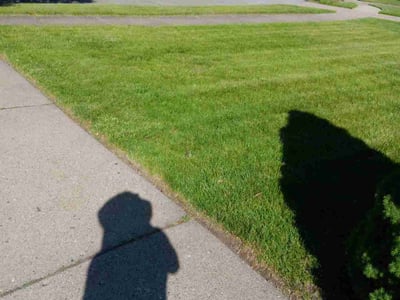 Lawn care service in Livonia, 48150
