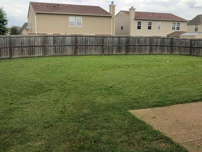 Lawn care service in Memphis, 38125