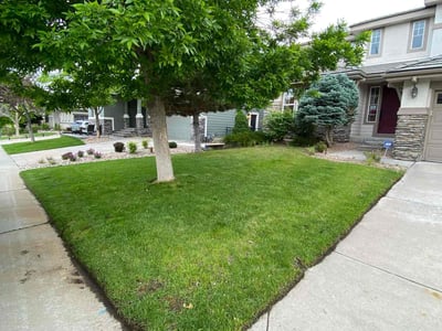 Lawn care service in Littleton, 80129