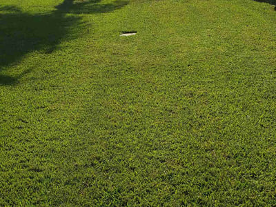 Lawn care service in Sarasota, 34235