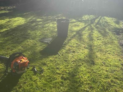 Lawn care service in Seattle, 98115