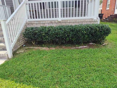 Lawn care service in Portsmouth, 23703