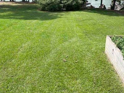 Lawn care service in Dawsonville, 30534