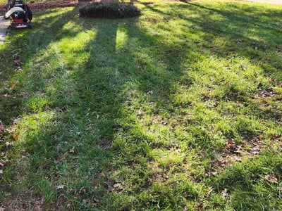 Lawn care service in , 