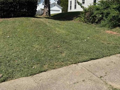 Lawn care service in Fairburn, 30213