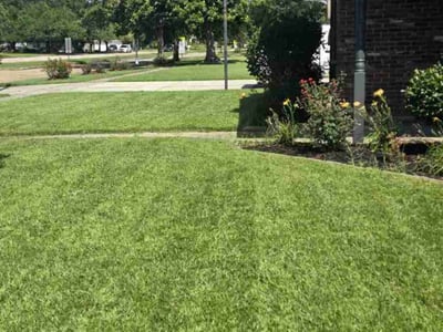Lawn care service in Slidell, 70458