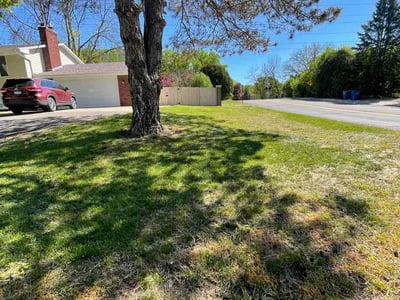 Lawn care service in Edina, 55439