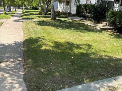 Lawn care service in Milwaukee, 53222