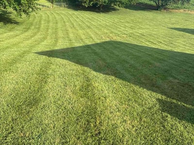 Lawn care service in Oak Grove, 42262