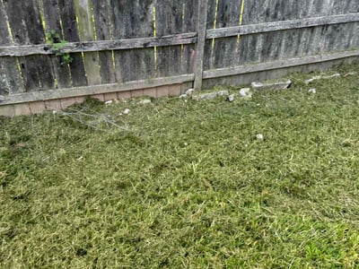 Lawn care service in Kirkwood, 63122