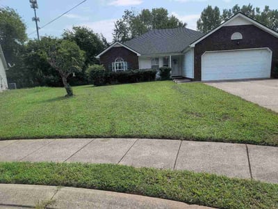 Lawn care service in La Vergne, 37086