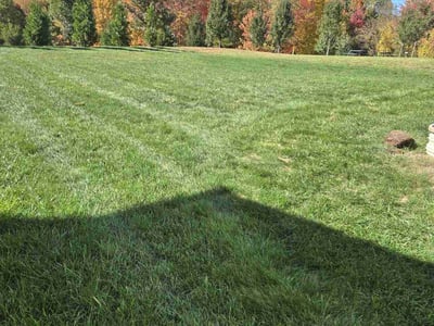 Lawn care service in Wexford, 15090