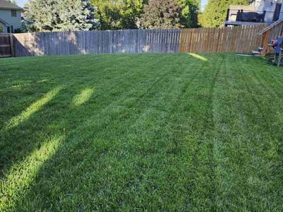 Lawn care service in Omaha, 68116