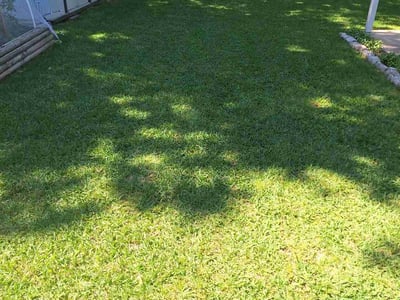 Lawn care service in Austin, 78745