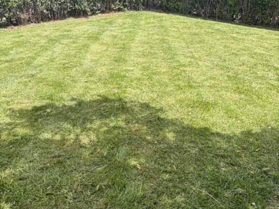 Lawn care service in Fountain, 80817