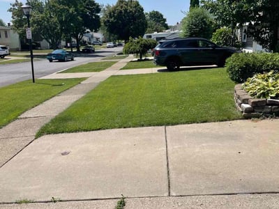 Lawn care service in Cheektowaga, 14227