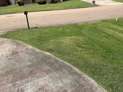Lawn care service in Jackson, 39212