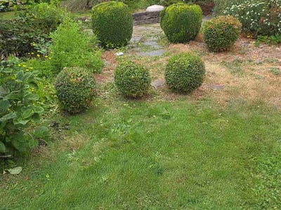 Lawn care service in Battle Ground, 98604