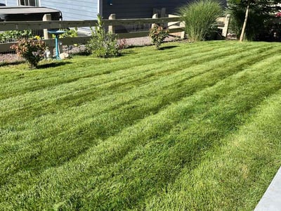 Lawn care service in Parker, 80138