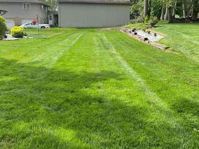 Lawn care service in Akron, 44319