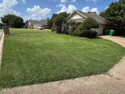 Lawn care service in Robinson, 76706