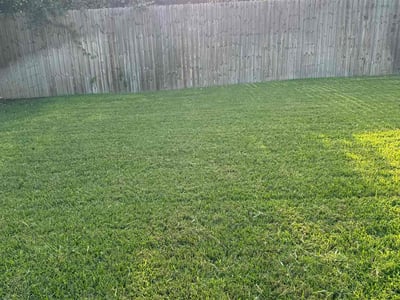 Lawn care service in Arlington, 76016