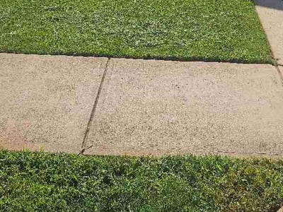 Lawn care service in Statesville, 28677